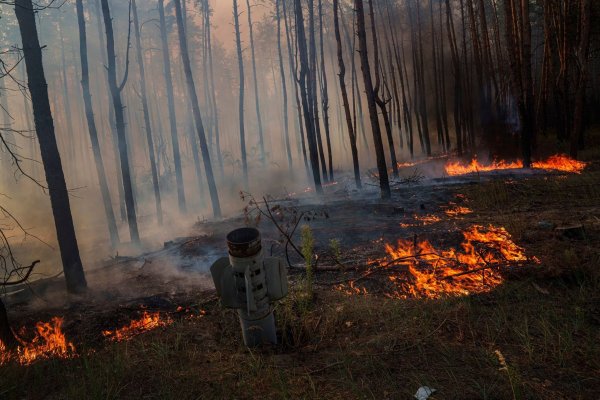 Waldbrände in der Ukraine, die viel Treibhausgase freisetzen, werden oft durch Gefechte ausgelöst. (Archivbild) - © Evgeniy Maloletka/AP/dpa