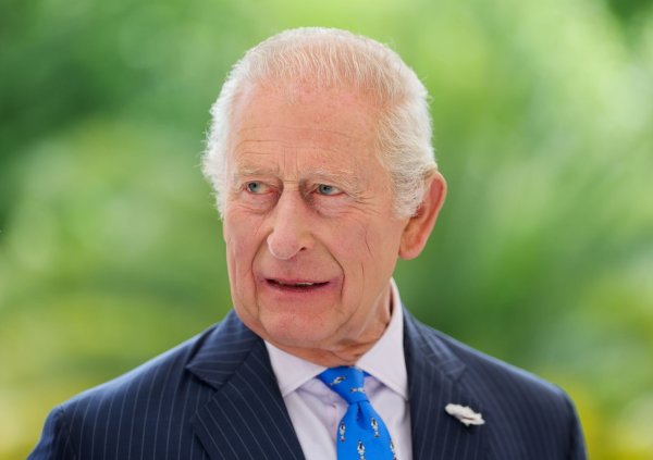 Eine Doku widmet sich dem Engagement von König Charles. (Archivbild) - © Chris Jackson/PA Wire/dpa