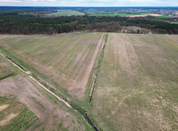 Mitte April und vertrocknetes Gras - Blick auf eine Wiese im Landkreis Oberhavel in Brandenburg (Aufnahme mit einer Drohne). (Archivbild) - © Soeren Stache/dpa