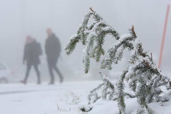 In den Mittelgebirgen wie dem Harz wird am Mittwoch Neuschnee erwartet. - © Matthias Bein/dpa