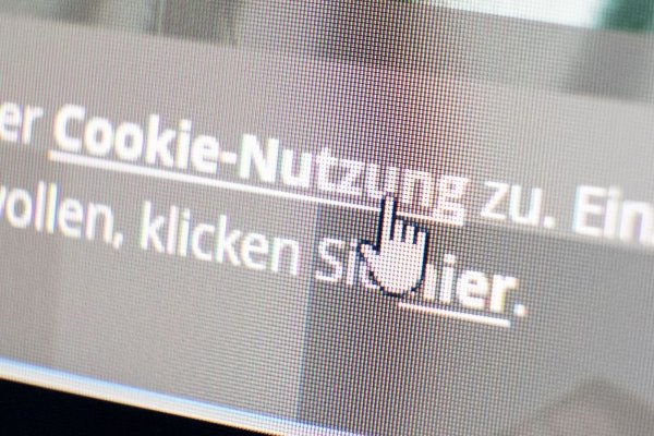 Wer sich auf einer Webseite umschauen will, wird sehr oft gefragt, ob er Cookies zustimmt. (Symbolbild) - © Bernd Weissbrod/dpa/dpa-tmn