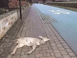 - &copy; FOTO: KLAUS REIMLER / pr