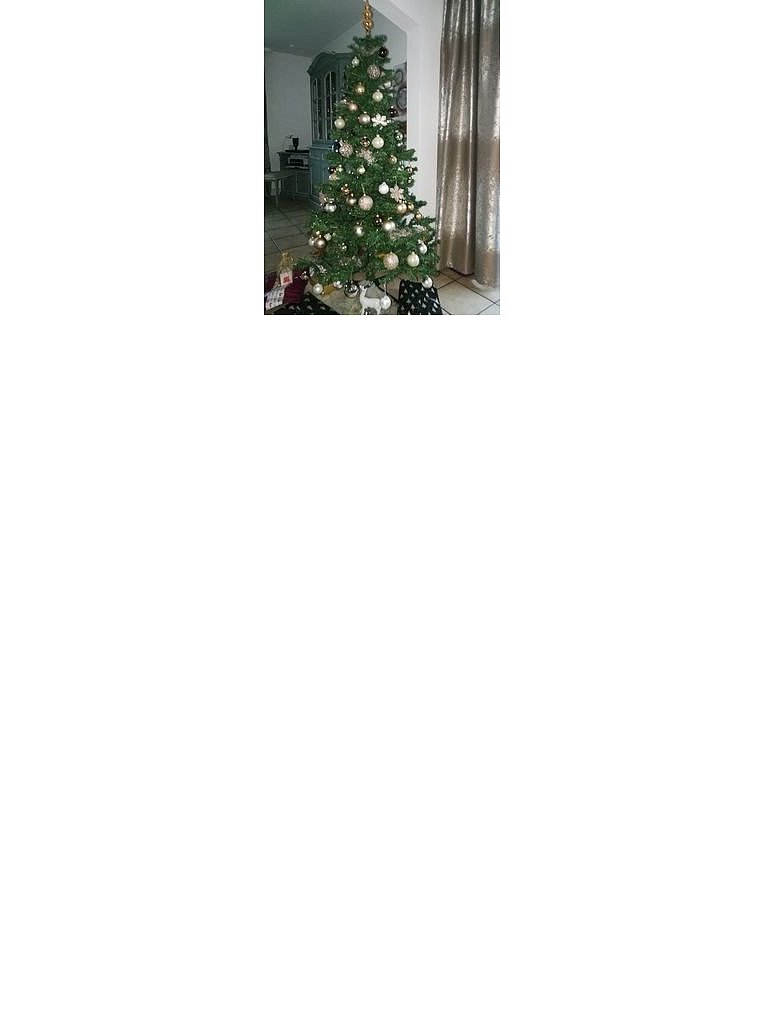 Weihnachtsbäume in Lippe