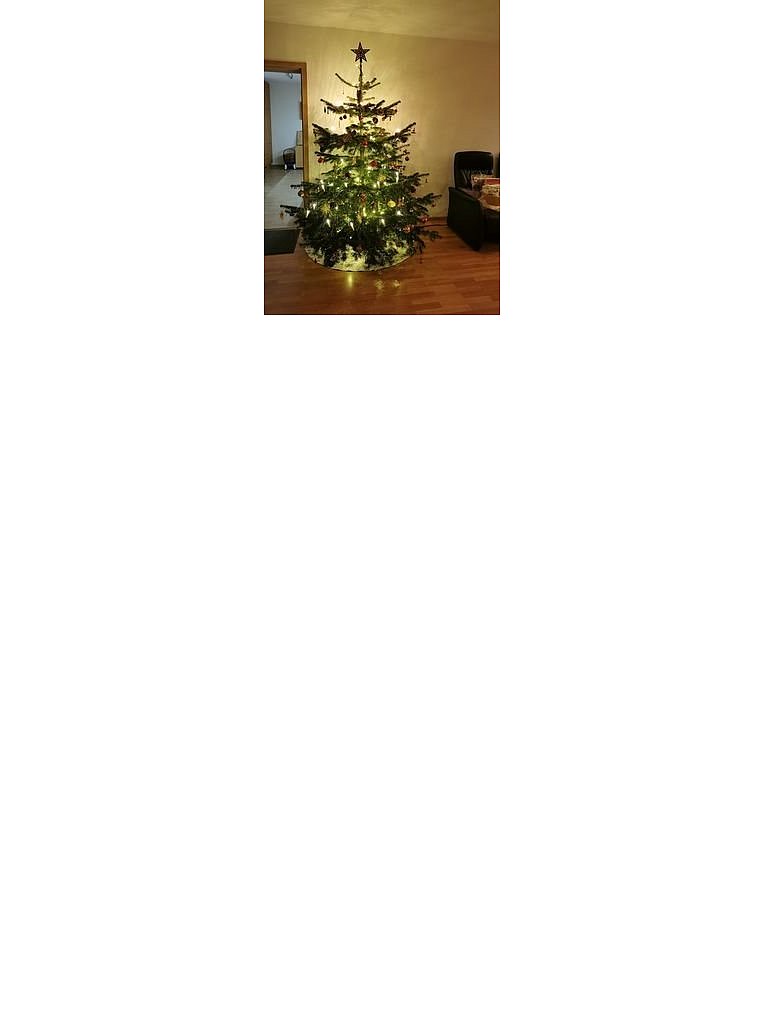 Weihnachtsbäume in Lippe