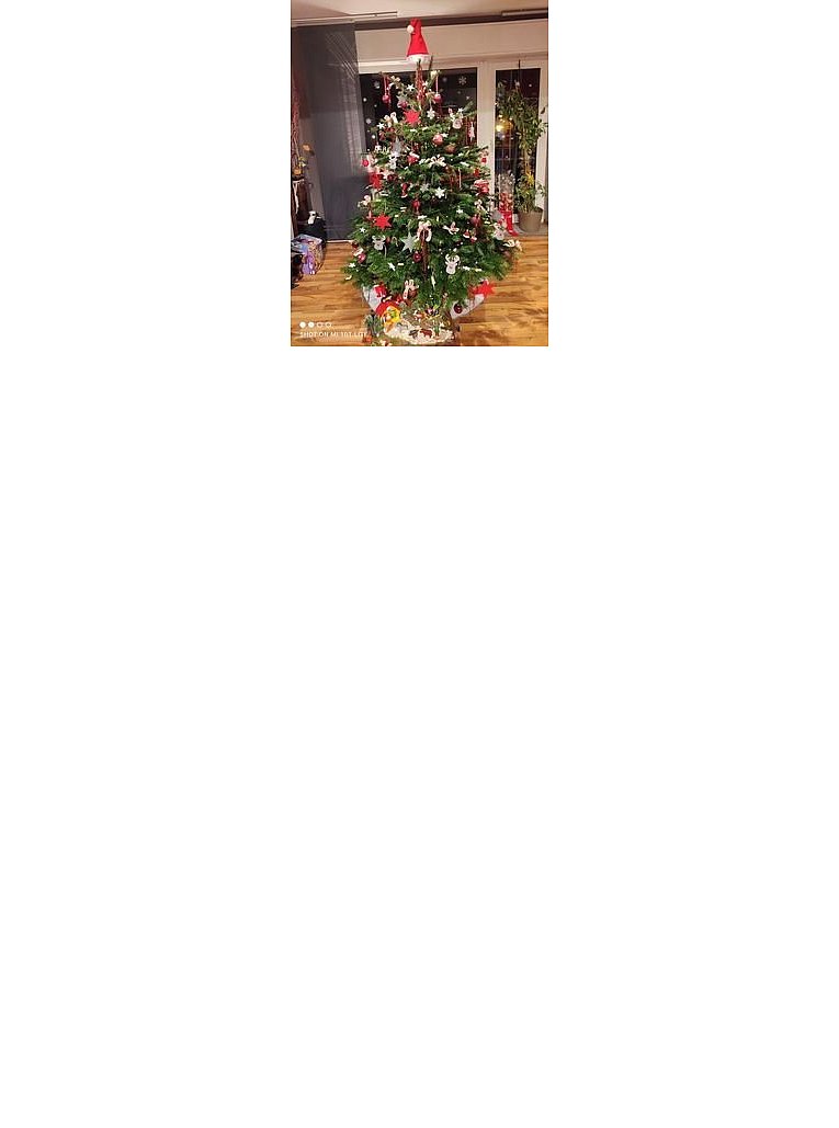 Weihnachtsbäume in Lippe