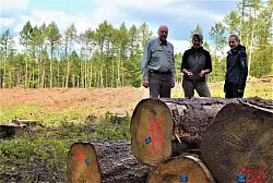 Hier hat der Borkenk&auml;fer zugeschlagen: F&ouml;rster Stephan Radeck, Susanne Hoffmann vom Landesverband Lippe und Stadtforst-Praktikantin Annika Sievert sind immer wieder schockiert &uuml;ber das Ausma&szlig; des Schadens. - &copy; Greta Wiedemeier