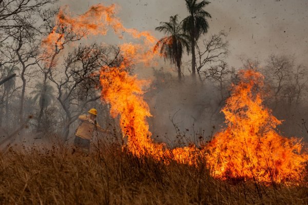Das Feuer richtet Verwüstung in der gesamten Region an. - © Diego Cardoso/dpa