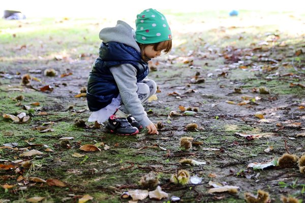 So viele Kastanien: Gerade der Herbst löst bei manchen Kindern eine Sammelleidenschaft aus. - © picture alliance / Mascha Brichta/dpa-tmn