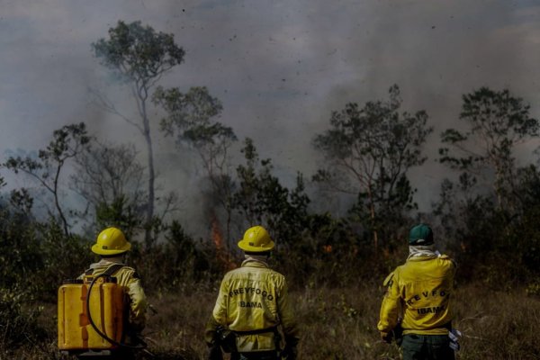 Waldbrände im Amazonas - © Foto: Gabriela Biló/XinHua
