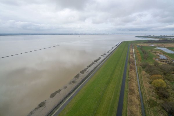 Das Bundesverwaltungsgericht entscheidet über Klage gegen zu viel Nitrat im Grundwasser (Archivbild). - © Sina Schuldt/dpa