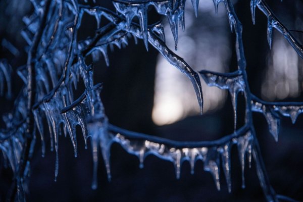 Die Woche beginnt mit Frost. (Symbolbild) - © Pia Bayer/dpa