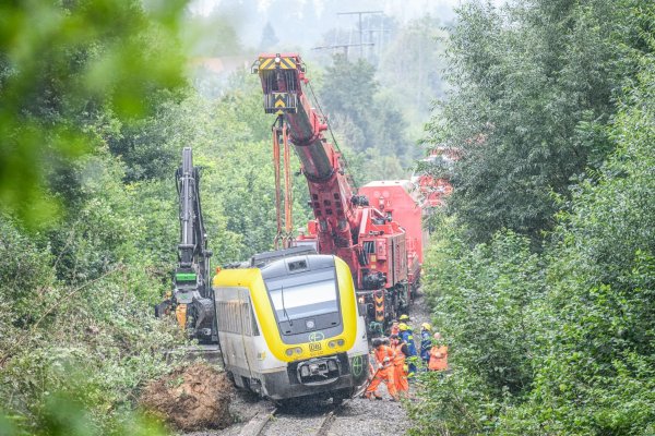 Mit einem Kran wird an der Unfallstelle, an der ein Regionalzug entgleist ist, gearbeitet. Ein Regionalexpress war am Sonntagabend (27.07.2025) in Riedlingen nach bisherigen Erkenntnissen infolge eines Hangrutsches entgleist. - © Jason Tschepljakow/dpa