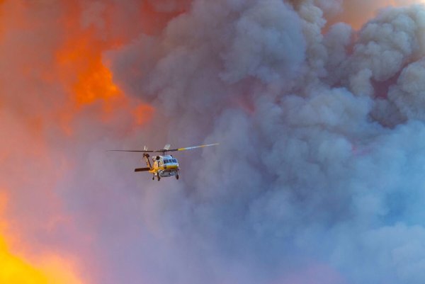 Die Brände in Malibu toben weiter. - © Jill Connelly/ZUMA Press Wire/dpa