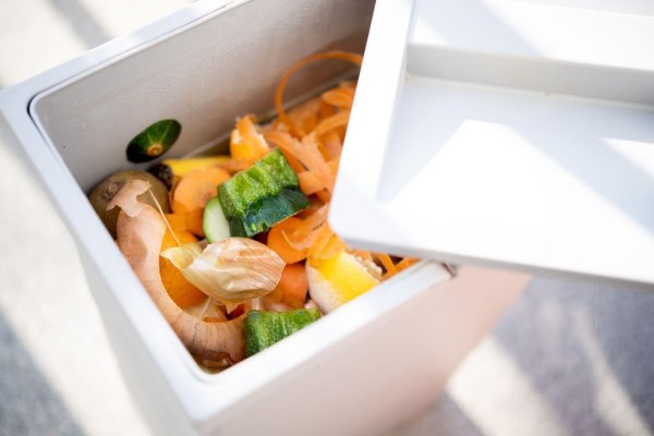 Der vielleicht banalste, aber auch beste Tipp gegen Gerüche aus dem Biomüll in der Küche ist: Deckel auf den Behälter. - © Zacharie Scheurer/dpa-tmn