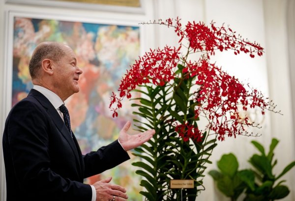 Bundeskanzler Olaf Scholz (SPD) steht bei der Orchideenzeremonie neben der Orchidee mit dem Namen Renanthera Olaf Scholz. - © Kay Nietfeld/dpa