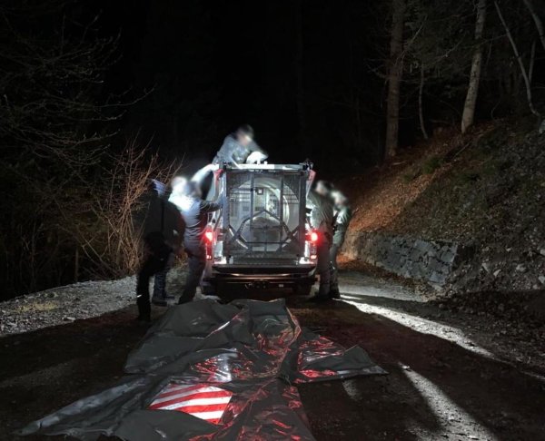 Mitarbeiter des Trentiner Forstkorps bereiten den Transport der Bärin JJ4 in ein Wildreservat vor (Archivbild). - © -/Provinzregierung Trentino/dpa