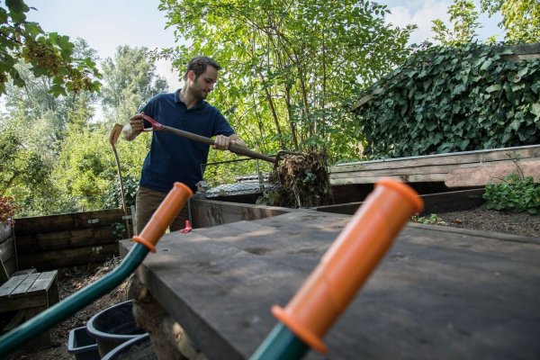 Ab auf den Haufen: Viele Gartenabfälle eignen sich zum Kompostieren. - © Christin Klose/dpa-tmn/dpa