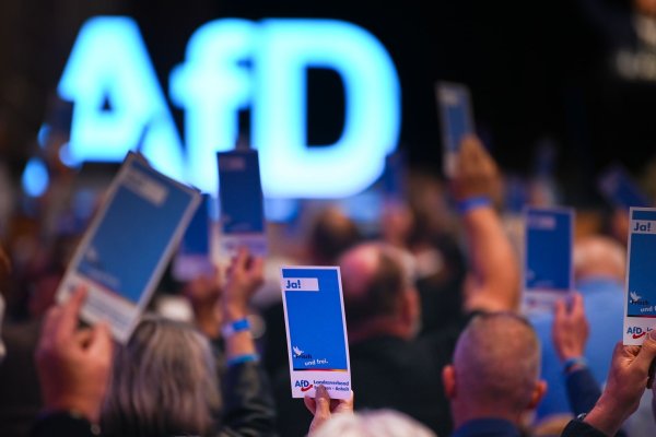 Die AfD will ihre neue Jugendorganisation stärker an sich binden. (Archivbild) - © Heiko Rebsch/dpa