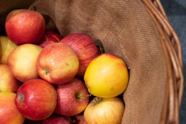 Frische Äpfel - © Foto: Catherine Waibel/dpa-tmn