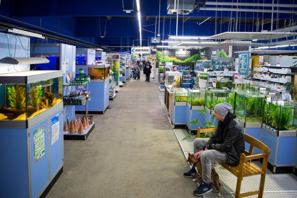 Zoo Zajac ist in wirtschaftliche Not geraten und hat einen Antrag auf vorläufige Insolvenz gestellt. Jetzt wird ein Investor gesucht. - © picture alliance / dpa