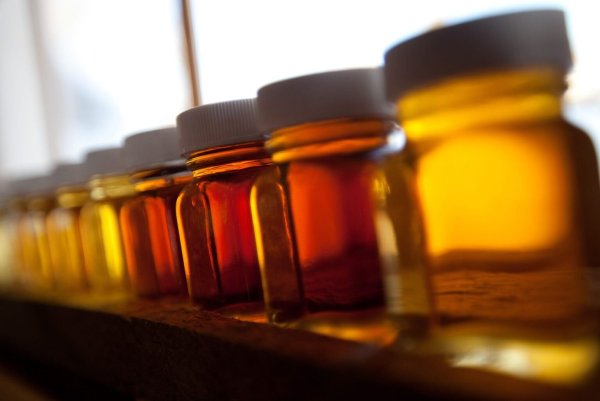 Ahornsirup strahlt oft in Goldtönen - © Foto: Matthew Cavanaugh/epa/dpa-tmn