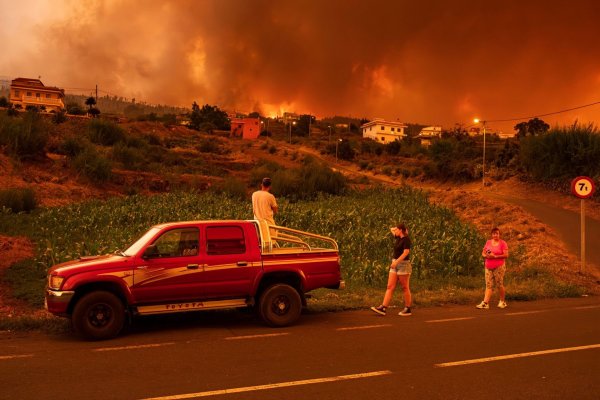 Der Waldbrand auf der Kanaren-Insel Teneriffa geht wohl auf Brandstiftung zurück. - © Arturo Rodriguez/AP/dpa