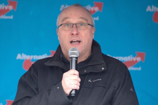 AfD - Maier - © Foto: Sebastian Kahnert/dpa