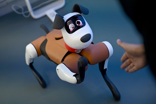 Roboter-Hunde tauchen bereits gelegentlich im Straßenbild chinesischer Großstädte auf. - © Johannes Neudecker/dpa