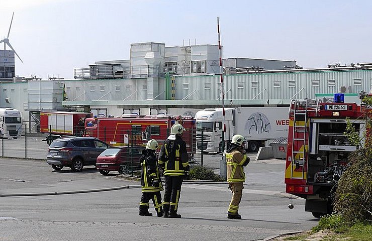 Einen Millionenschaden hat am Sonntag ein Brand in einer Ladestation für Elektro-Gabelstapler im Fleischcenter Paderborn der Westfleisch Vieh- und Fleischzentrale an der Halberstädter Straße verursacht. - © Foto: Ralph Meyer