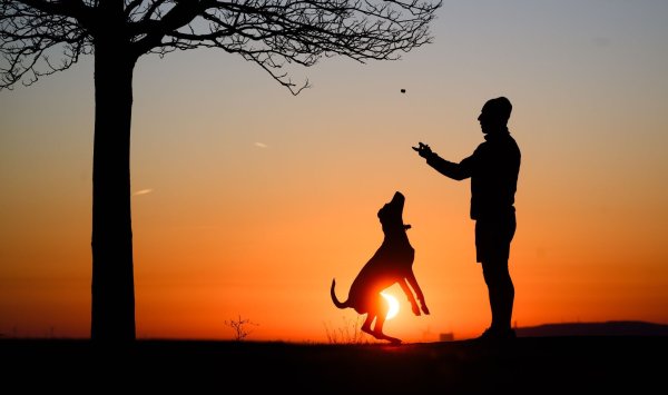 Hund statt Kind? Ganz so einfach ist es nicht. - © Julian Stratenschulte/dpa