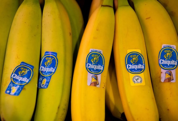 Bananen von Chiquita liegen in einem Supermarktregal in Bayern. (Archivbild) - © Sven Hoppe/dpa