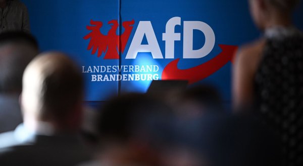 Die AfD in Brandenburg wehrt sich juristisch gegen ihre Hochstufung zur gesichert rechtsextremistischen Bestrebung. (Archivbild) - © Britta Pedersen/dpa