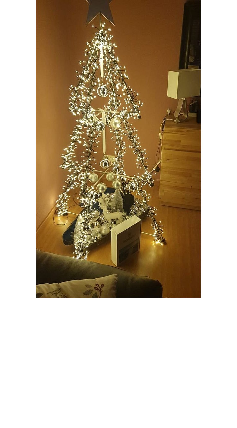 Weihnachtsbäume in Lippe