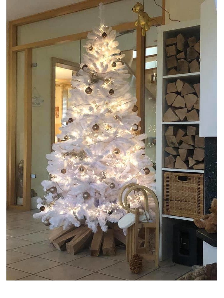 Weihnachtsbäume in Lippe