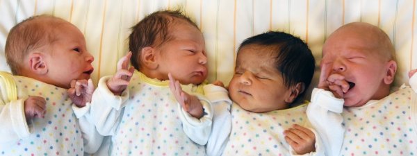 Babys - © Foto: Waltraud Grubitzsch