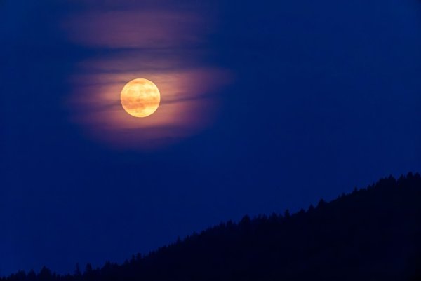 Wetteraussichten beim Erdbeermond sind gut. - © Philipp von Ditfurth/dpa