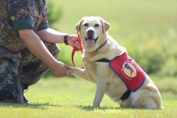 Pilotprojekt mit Therapie-Hunden - © Foto: Danny Gohlke