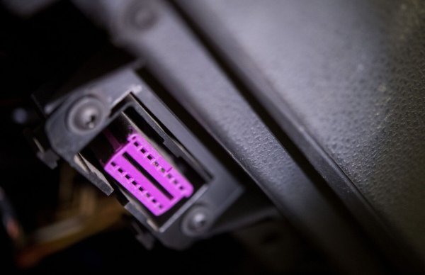 - © Sebastian Gollnow/dpa/dpa-tmn