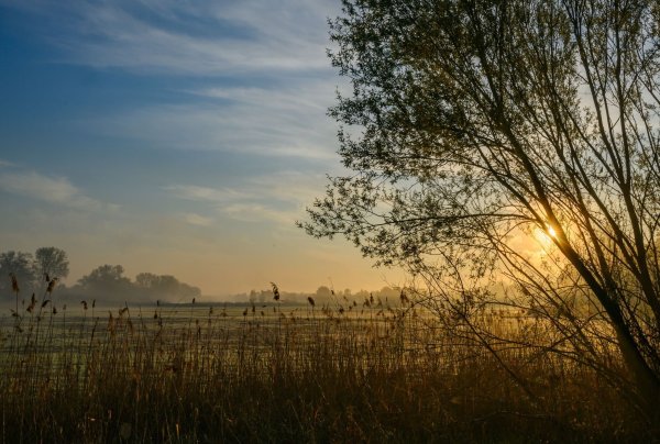Nach einem sonnigen Start in den Ostersonntag droht es in Teilen Deutschlands, ungemütlich zu werden. - © Patrick Pleul/dpa