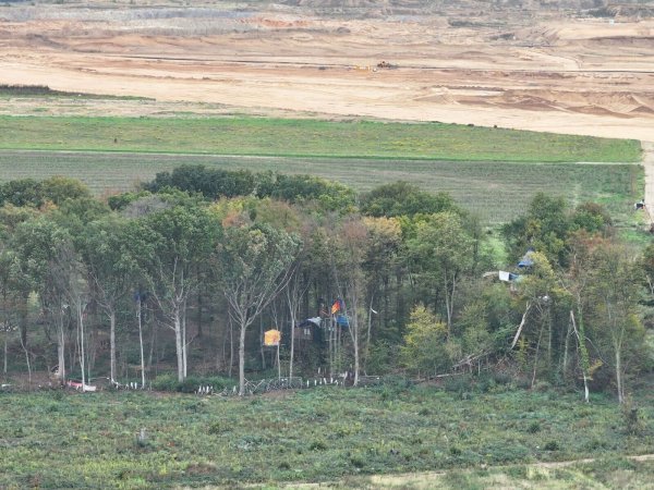 Die Polizei räumt das sogenannte Sündenwäldchen im Rheinischen Revier. (Archivbild) - © Sascha Thelen/dpa