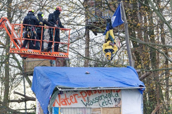 Mit einer Hebebühne nähern sich Polizisten einem Aktivisten, der kopfüber in einem Baum hängt. - © Henning Kaiser/dpa
