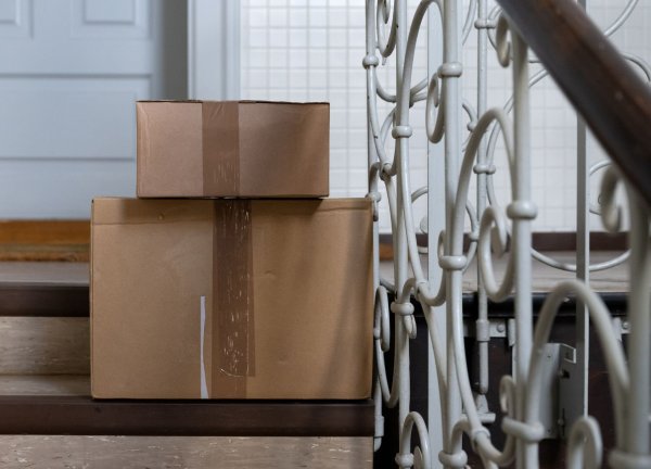 Die Katze hatte sich nach bisherigen Erkenntnissen unbemerkt in den Karton gelegt. (Symbolbild) - © Sven Hoppe/dpa