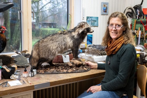 Die Präparatorin Yvonne Fritzsche-Nehls rekonstruiert und konserviert Tierkörper für naturkundliche Ausstellungen. - © Benjamin Nolte/dpa-tmn/dpa