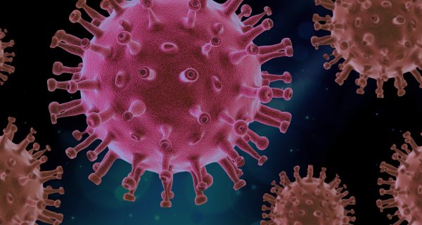 Sollten die Infektionen mit dem Coronavirus wieder zunehmen, würden Lockerungen rückgängig gemacht. - © Symbolfoto: Pixabay