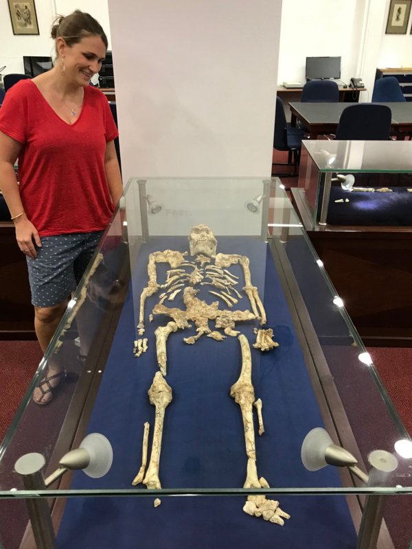 Geochemikerin Tina Lüdecke steht neben "Little Foot“, einem bemerkenswert gut erhaltenen Skelett des Australopithecus. - © Bernhard Zipfel/University of the Witwatersrand/dpa