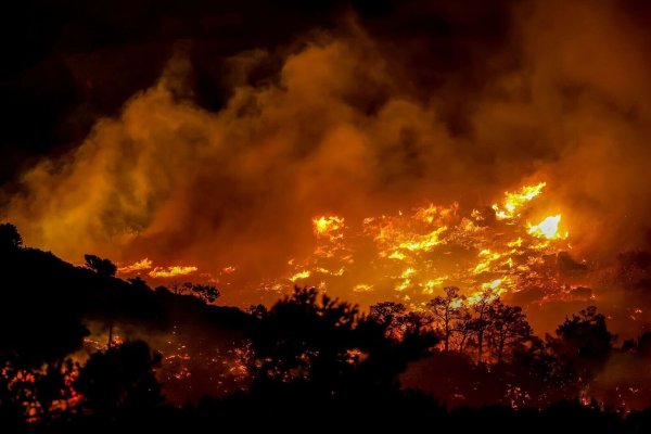 Wegen starker Winde breiteten sich die Flammen rasch aus. - © STR/INTIME NEWS/AP/dpa