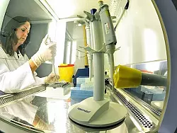 Darminfekt breitet

sich weiter aus - © Nachrichten