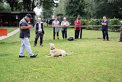 Hans Schlegel &uuml;bersetzt die Hundesprache