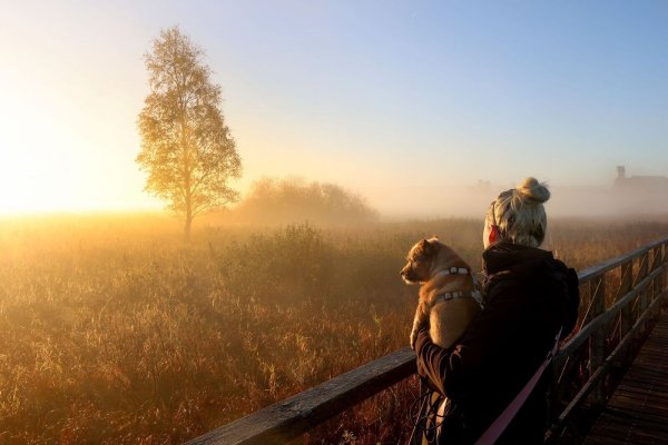 Der physiologische Tageszyklus des Menschen orientiert sich am Sonnenaufgang. (Archivbild) - © Thomas Warnack/dpa/dpa-tmn