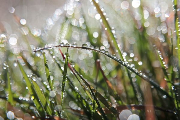 Für das Wochenende ist wechselhaftes Wetter angekündigt. - © Matthias Bein/dpa